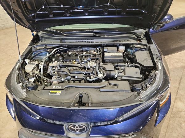 2023 TOYOTA COROLLA