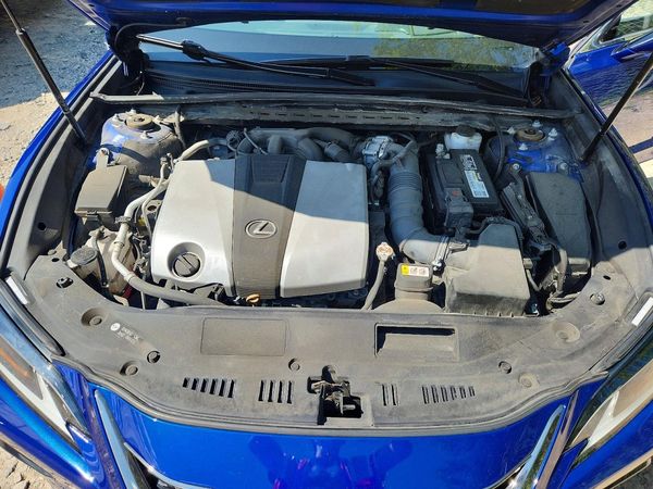 2019 LEXUS ES 350