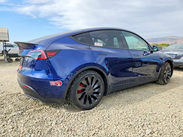 2024 TESLA MODEL Y