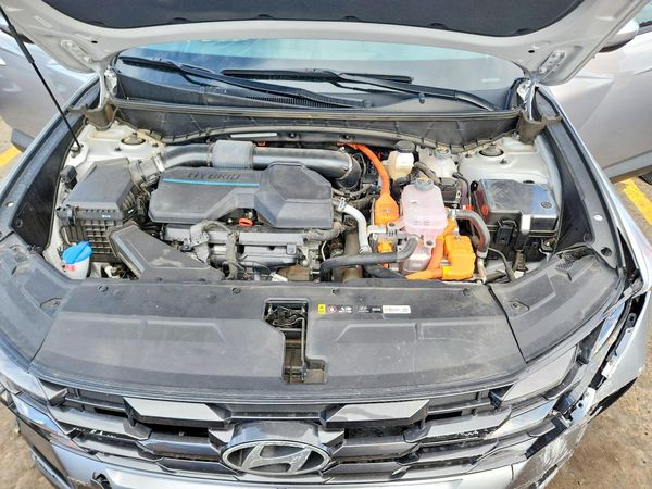 2025 HYUNDAI TUCSON Blue