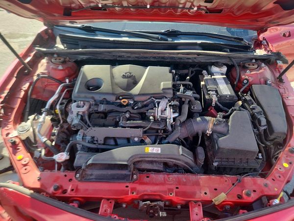 2019 TOYOTA CAMRY L/LE/SE/XLE