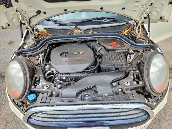 2017 MINI COOPER