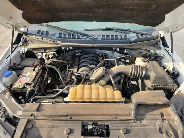 2019 FORD F150