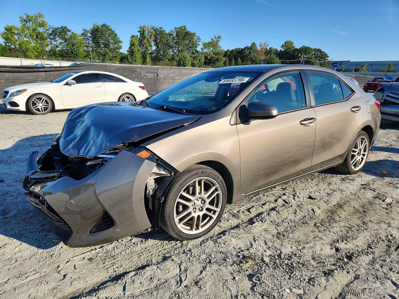 2019 TOYOTA COROLLA L/LE/SE/XLE/XSE