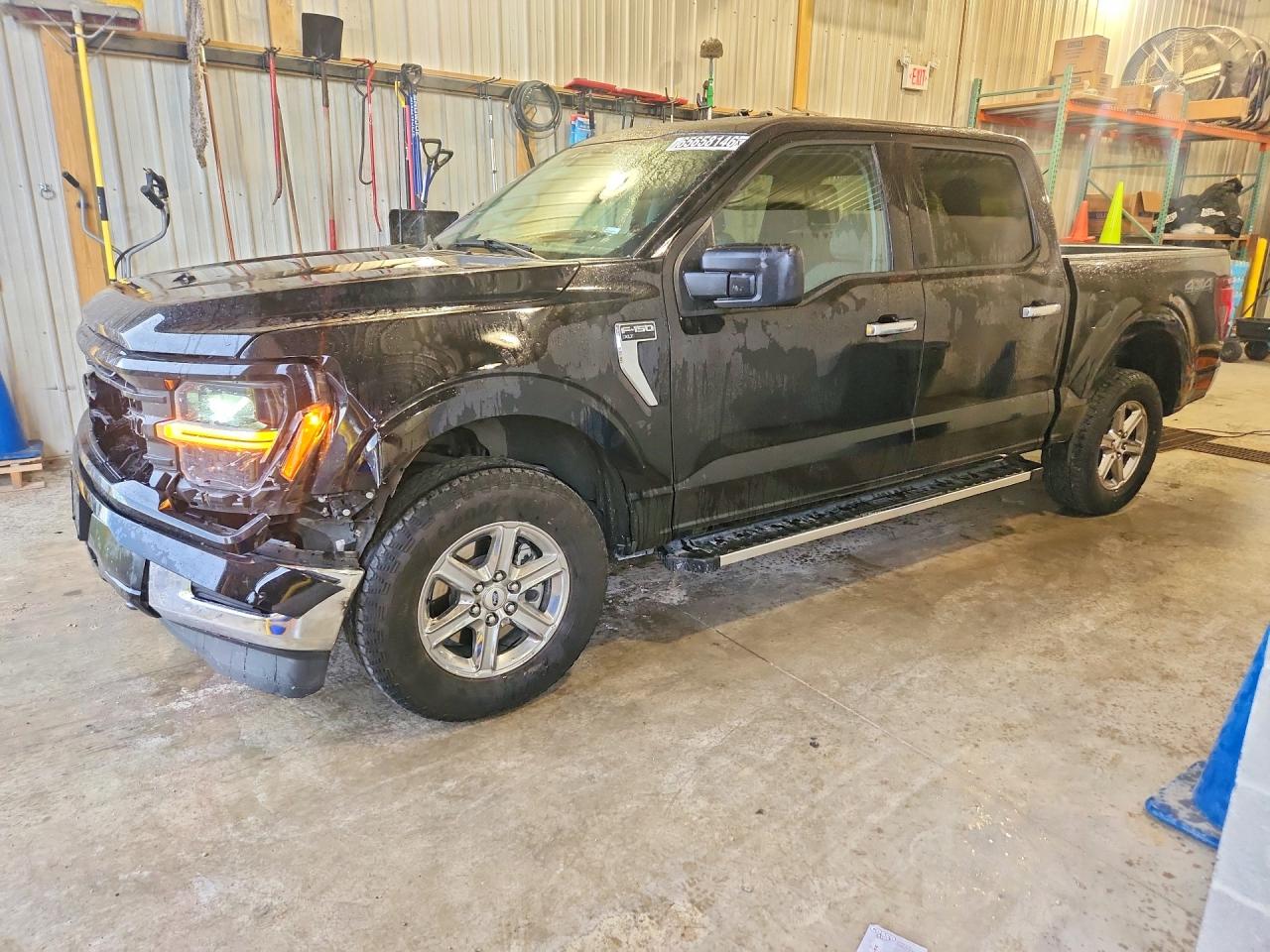 2025 FORD F150 XLT