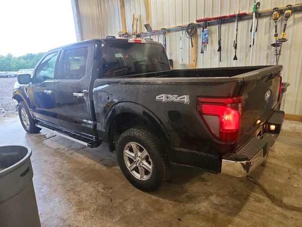 2025 FORD F150 XLT