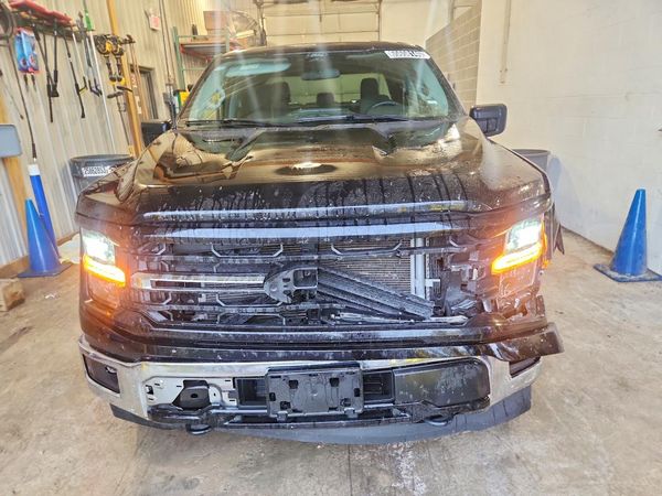 2025 FORD F150 XLT