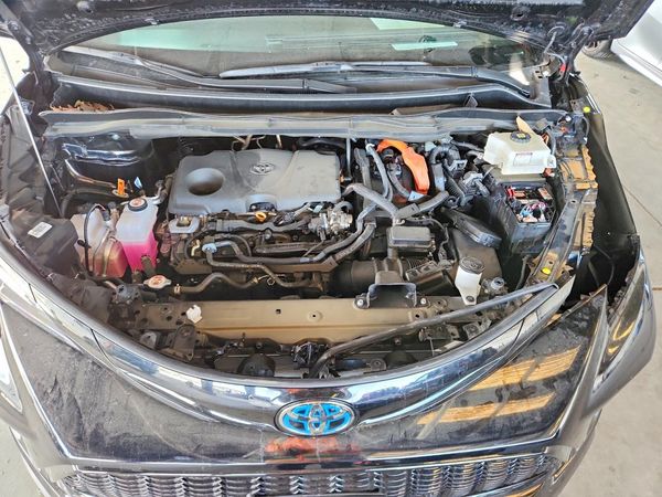 2025 TOYOTA SIENNA XSE