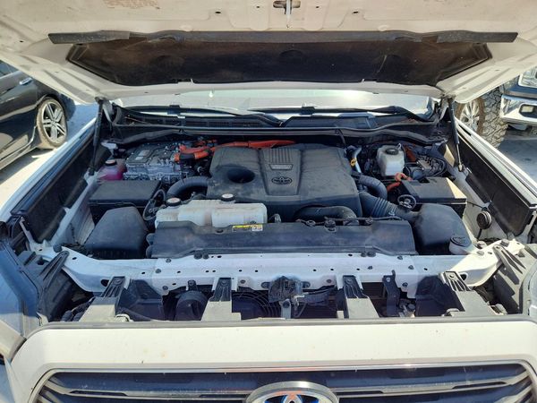 2023 TOYOTA SEQUOIA