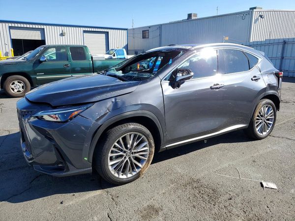 2025 LEXUS NX 350H 350h Luxury