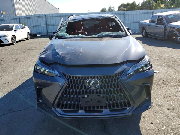 2025 LEXUS NX 350H 350h Luxury