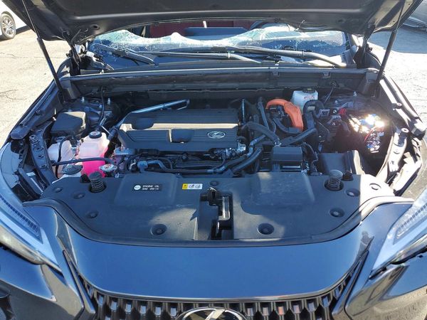 2025 LEXUS NX 350H 350h Luxury
