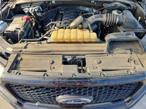2019 FORD F150