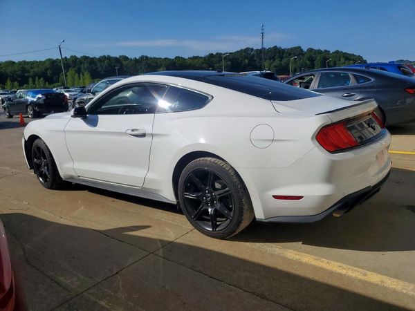 2019 FORD MUSTANG