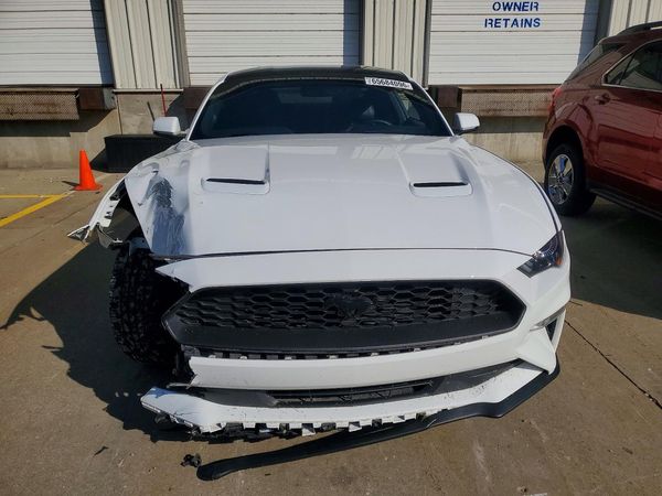 2019 FORD MUSTANG