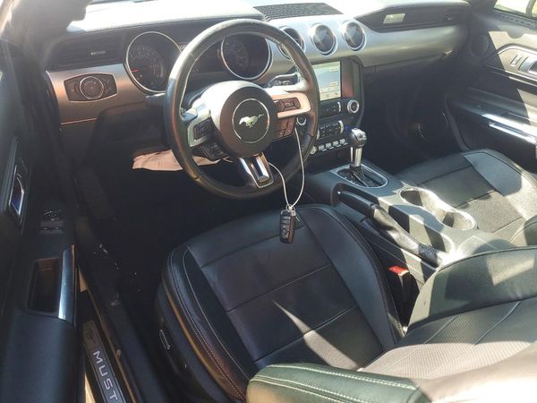 2019 FORD MUSTANG