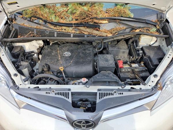 2020 TOYOTA SIENNA Q grade