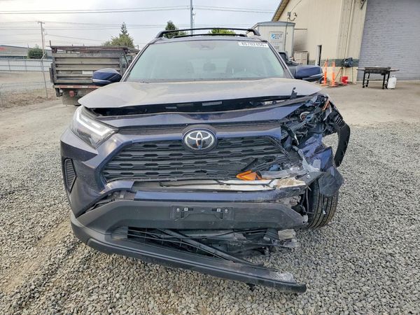 2025 TOYOTA RAV4 XLE — DIRF
