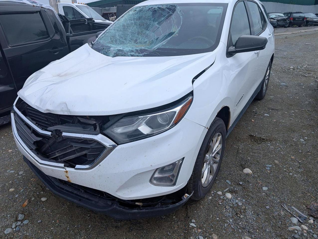 2019 CHEVROLET EQUINOX LS
