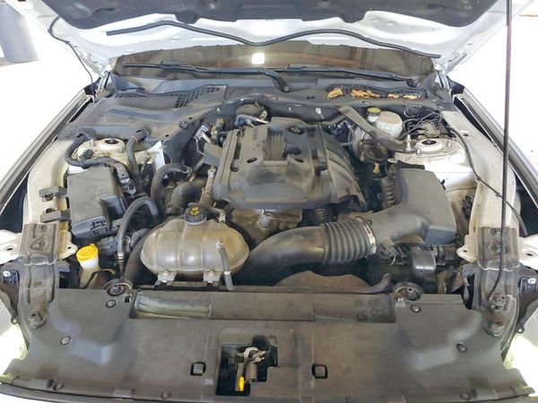 2019 FORD MUSTANG I4 Convertible