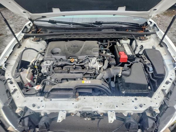 2019 TOYOTA CAMRY L/LE/SE/XLE