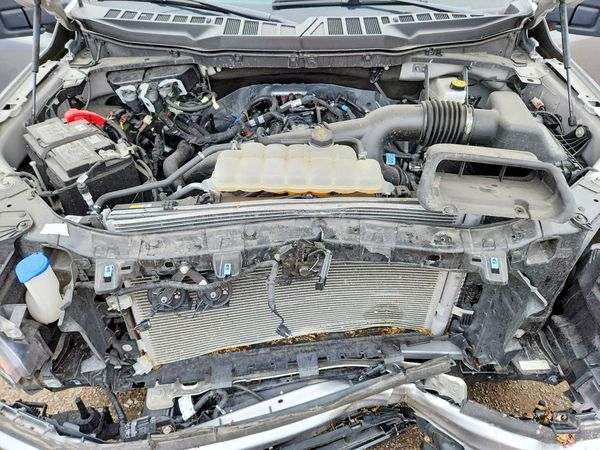2025 FORD F150 XLT
