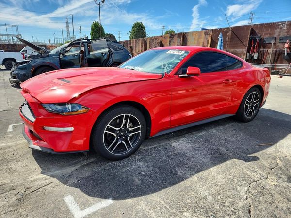 2019 FORD MUSTANG