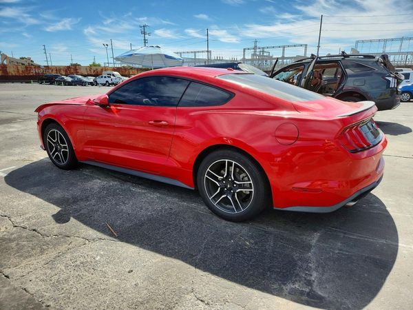 2019 FORD MUSTANG