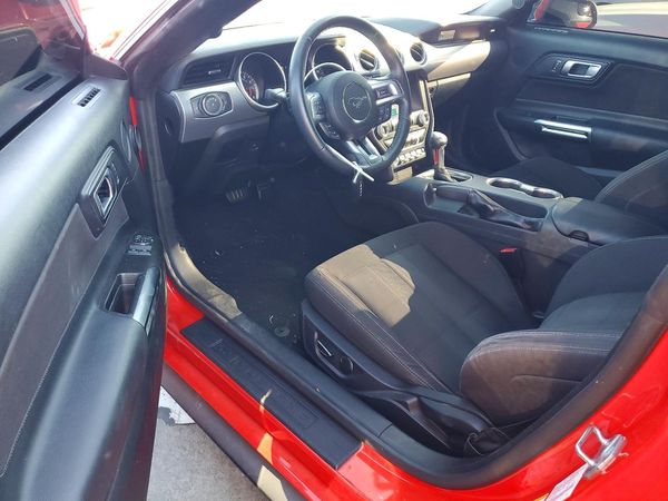 2019 FORD MUSTANG