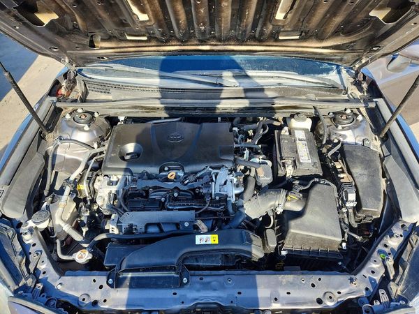 2019 TOYOTA CAMRY L/LE/SE/XLE