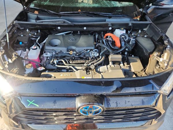 2024 TOYOTA RAV4 Others