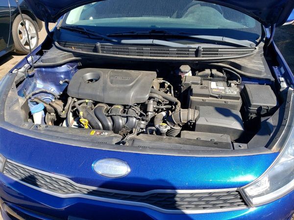 2019 KIA RIO