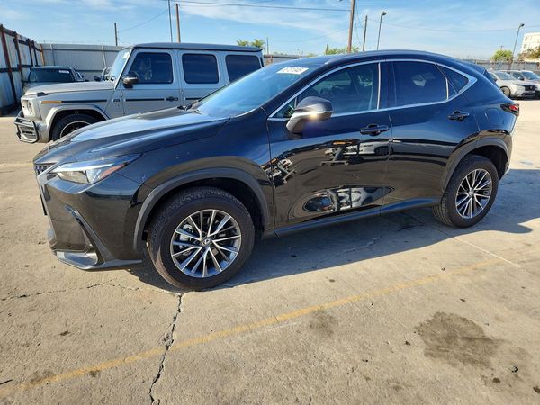 2024 LEXUS NX