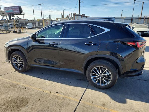 2024 LEXUS NX 350 Premium