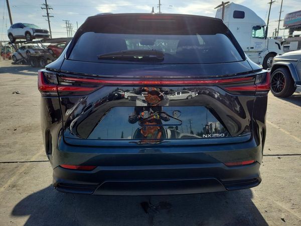 2024 LEXUS NX 350 Premium