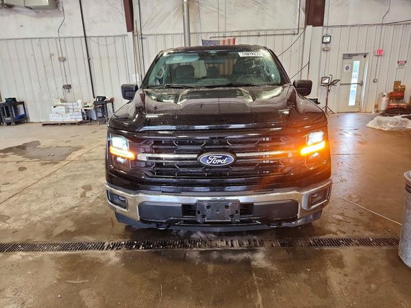 2025 FORD F150 XLT