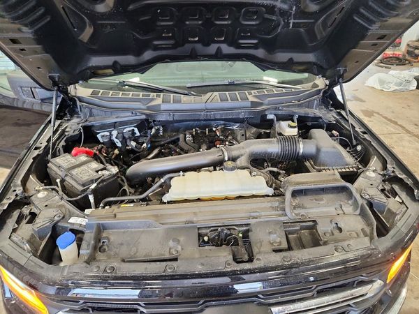 2025 FORD F150 XLT