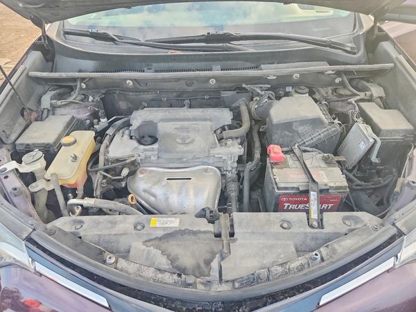 2016 TOYOTA RAV4 XLE (M Grade)