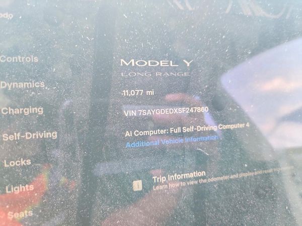 2025 TESLA MODEL Y