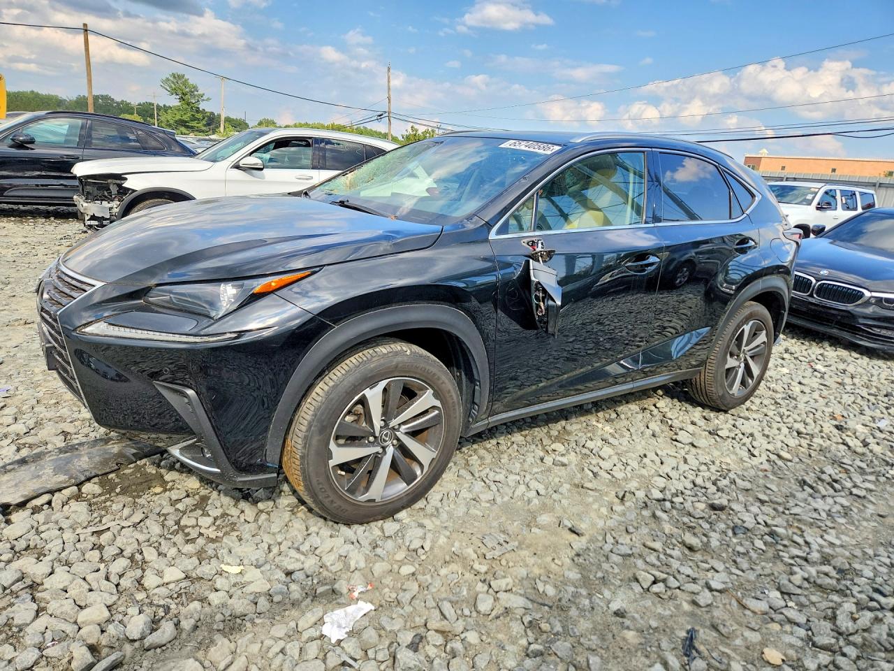 2019 LEXUS NX 300 300 Luxury