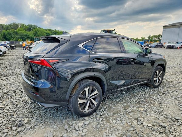 2019 LEXUS NX 300 300 Luxury