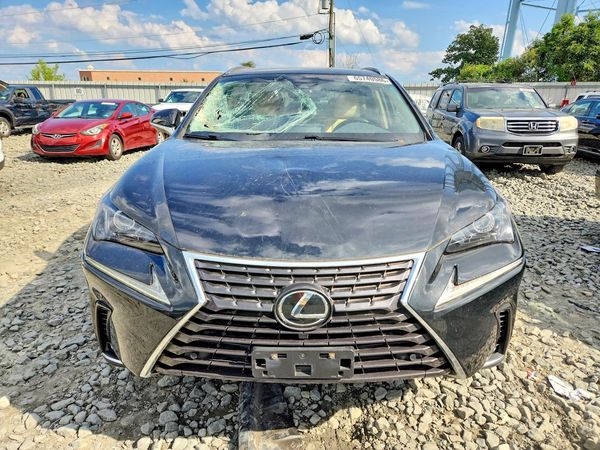 2019 LEXUS NX 300 300 Luxury