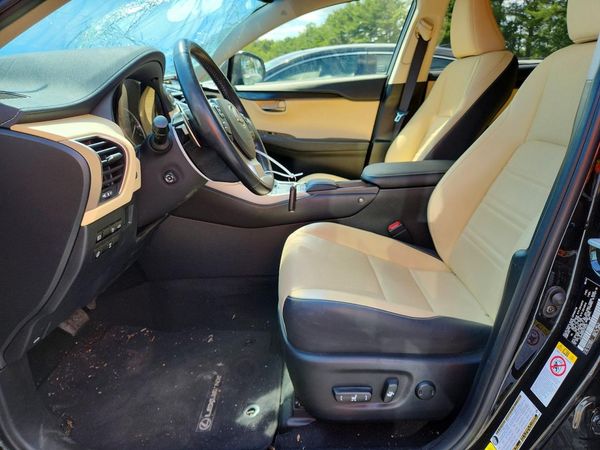 2019 LEXUS NX 300 300 Luxury