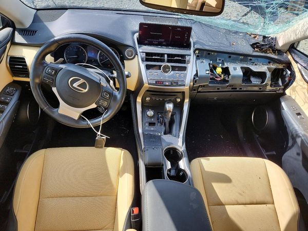2019 LEXUS NX 300 300 Luxury