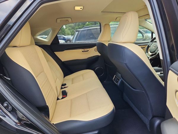 2019 LEXUS NX 300 300 Luxury