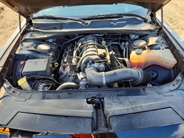 2019 DODGE CHALLENGER