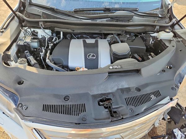 2019 LEXUS RX 350