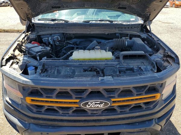 2025 FORD F150 Tremor