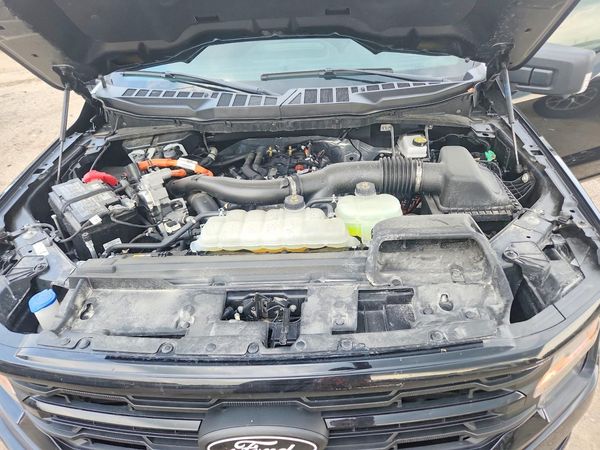 2025 FORD F150 XLT