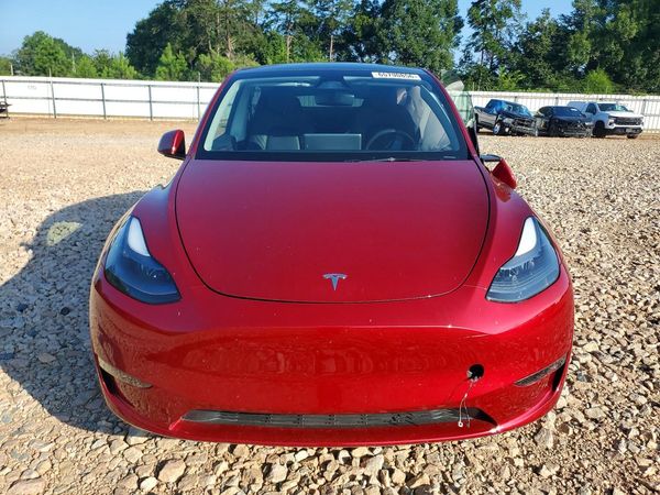 2025 TESLA MODEL Y — DIRF